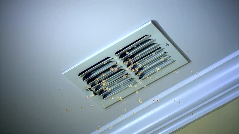 Best Air Duct Cleaning Company Near Me  in Morton, IL