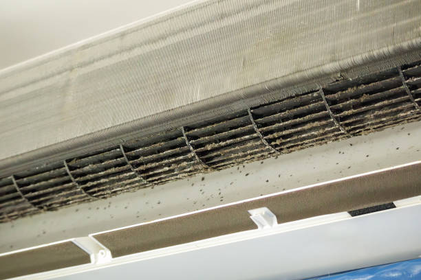 Best Commercial HVAC Duct Cleaning  in Morton, IL