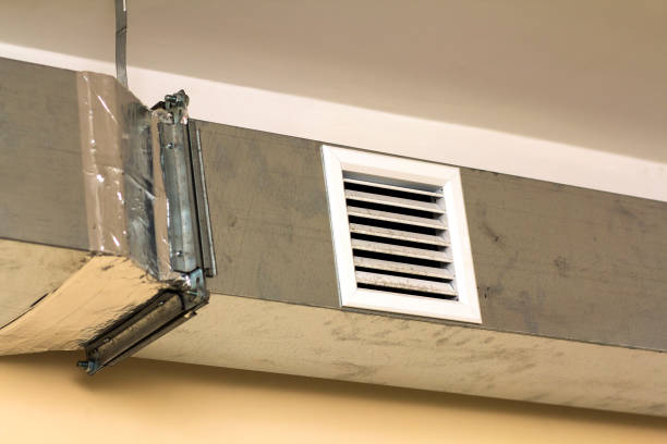 Best Air Vent Cleaning Services  in Morton, IL