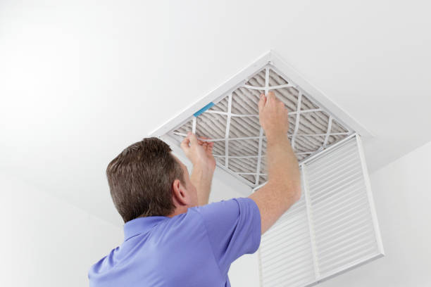 Best HVAC Duct Inspection Services  in Morton, IL